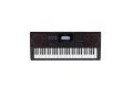 CASIO CT-X8000IN Electronic Musical Instrument (STANDARD) KH37