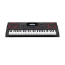 CASIO CT-X9000IN Electronic Musical Instrument (STANDARD) KH38