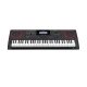 CASIO CT-X9000IN Electronic Musical Instrument (STANDARD) KH38