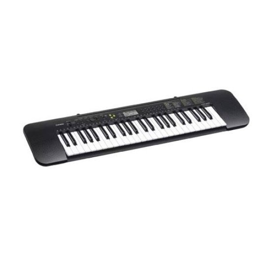 CASIO CTK-240 Electronic Musical Instrument (STANDARD) KS21