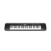 CASIO CTK-240 Electronic Musical Instrument (STANDARD) KS21