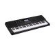 CASIO CT-X700 Electronic Musical Instrument (STANDARD) KS43