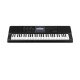 CASIO CT-X870IN Electronic Musical Instrument (STANDARD) KS44
