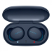 Sony WF-XB700 True Wireless Earbuds