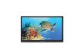 Boxlight ProColor 654U 65 Inch 4K Interactive Flat Panel Display