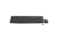 Logitech MK235 Wireless Keyboard And Mouse Combo Black (920-007939)